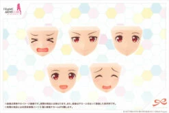 Frame Arms Girl Sousai Shoujo Teien After School Gourai Birthday 1/10 Scale Accessory Set -Bandai Sales Store 0ebd18d5 12fd 49b1 8921 157f8df7b727