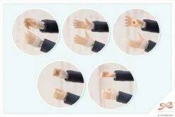 Kotobukiya Sousai Shoujo Teien Ryobu High School Winter Clothes Koyomi Takanashi (Dreaming Style) 1/10 Scale Model Kit -Bandai Sales Store 29da7c95 d219 42e0 a863 e78e1b1a71fd 1