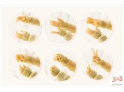 Kotobukiya Sousai Shoujo Teien Touou High School Winter Clothes Madoka Yuki 1/10 Scale Model Kit -Bandai Sales Store 419716ea a12c 4d35 8e8e d572eee3add7