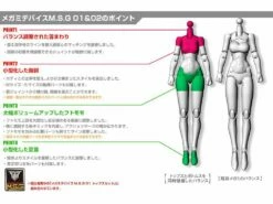 Megami Device M.S.G. 02 Bottom Set Skin Color A Model Kit -Bandai Sales Store e886b76c 3b21 41cc a751 c4bf336bafdc